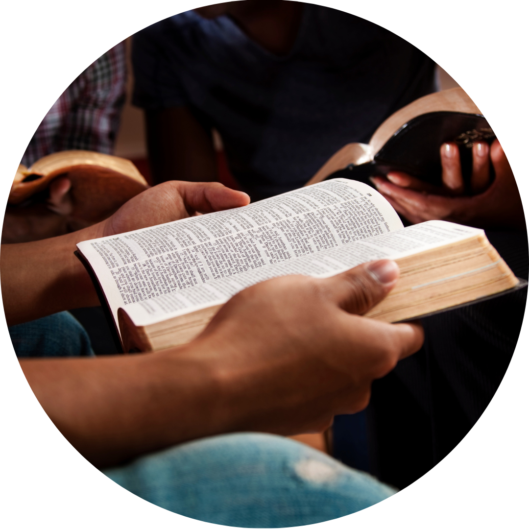 Cómo estudiar la Biblia - ¿Cómo nos enseña el Espíritu de Dios?