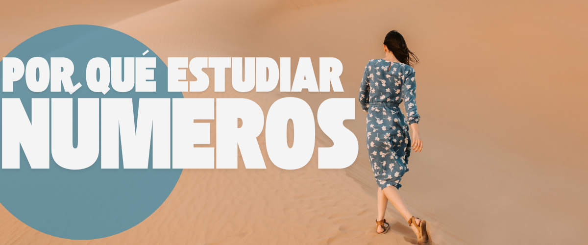 POR QU&Eacute; ESTUDIAR N&Uacute;MEROS